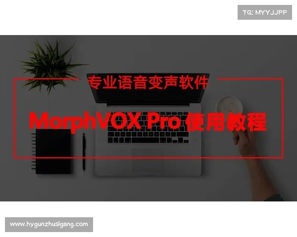 MorphVox Pro功能解析与评测 MorphVox Pro功能解析与评测