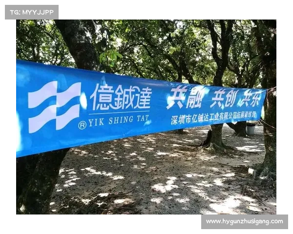 以水性思维为核心构建柔性共融的可持续战略创新路径