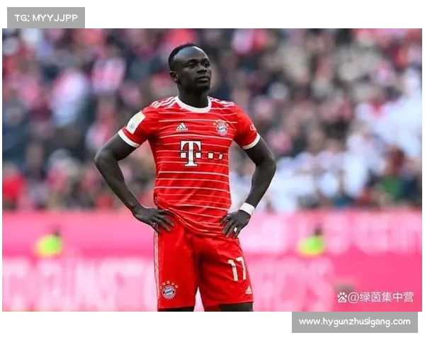 拜仁马内伤情恢复进程与重返赛场时间预测全面分析